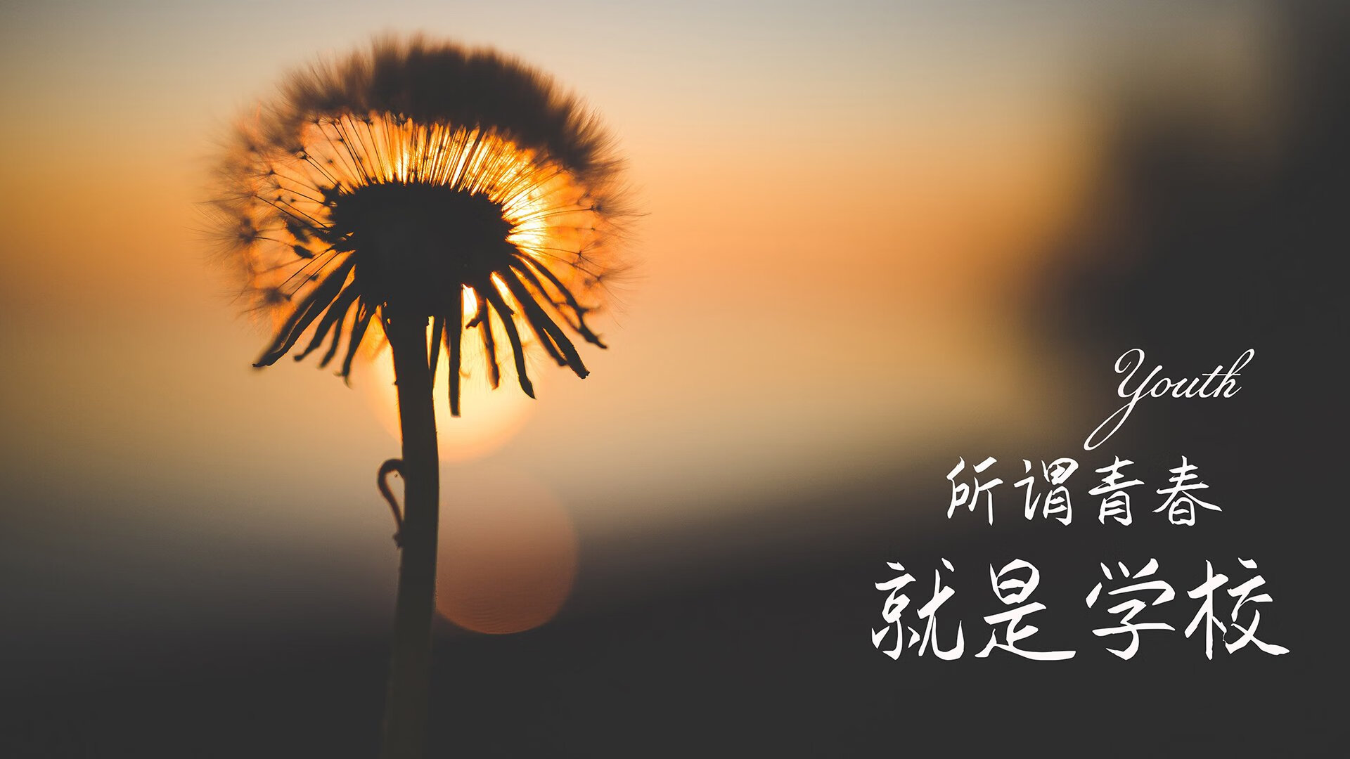 开云全站-_极限攀岩挑战：突破山壁界限_，极限攀登