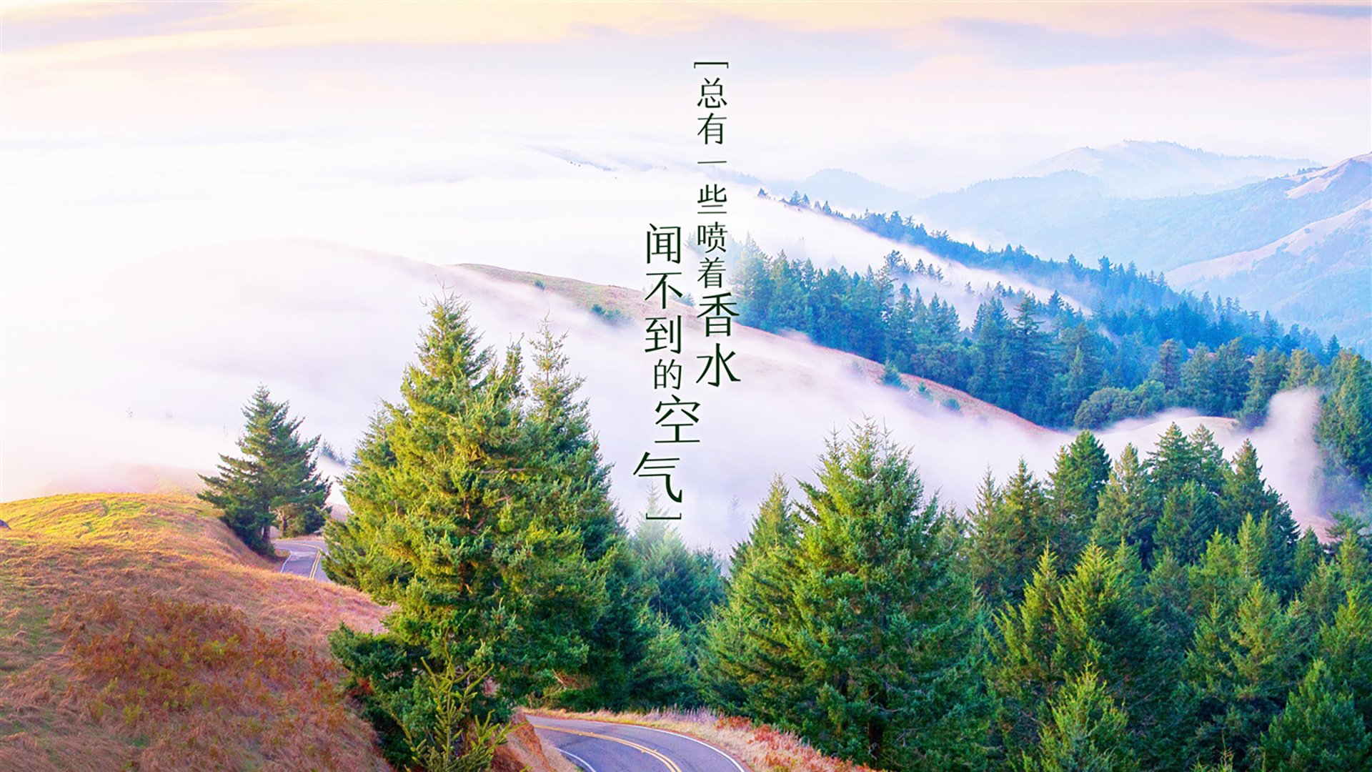 “意甲传统强队力拼，追逐欧战荣耀”，意甲欧战席位