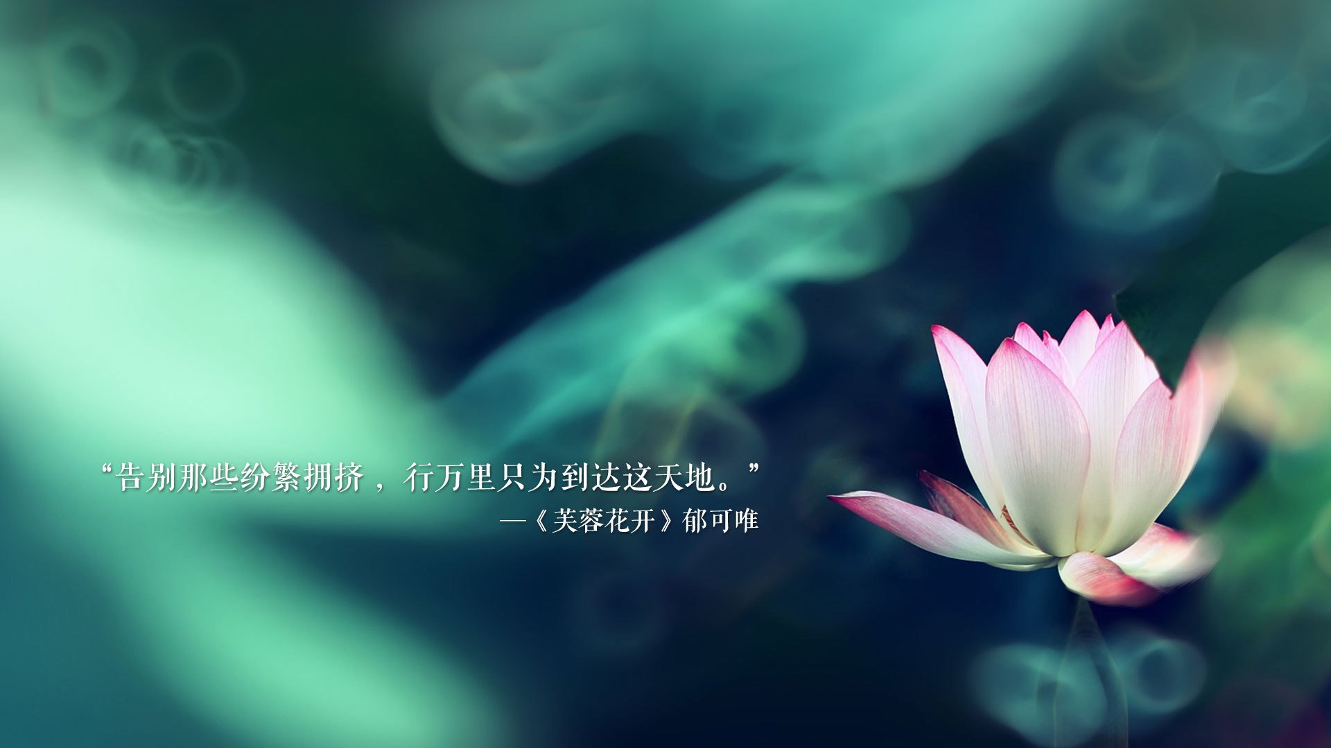 “逆境突围：车手在极端环境下的拼搏史诗”，逆境突袭剧情介绍