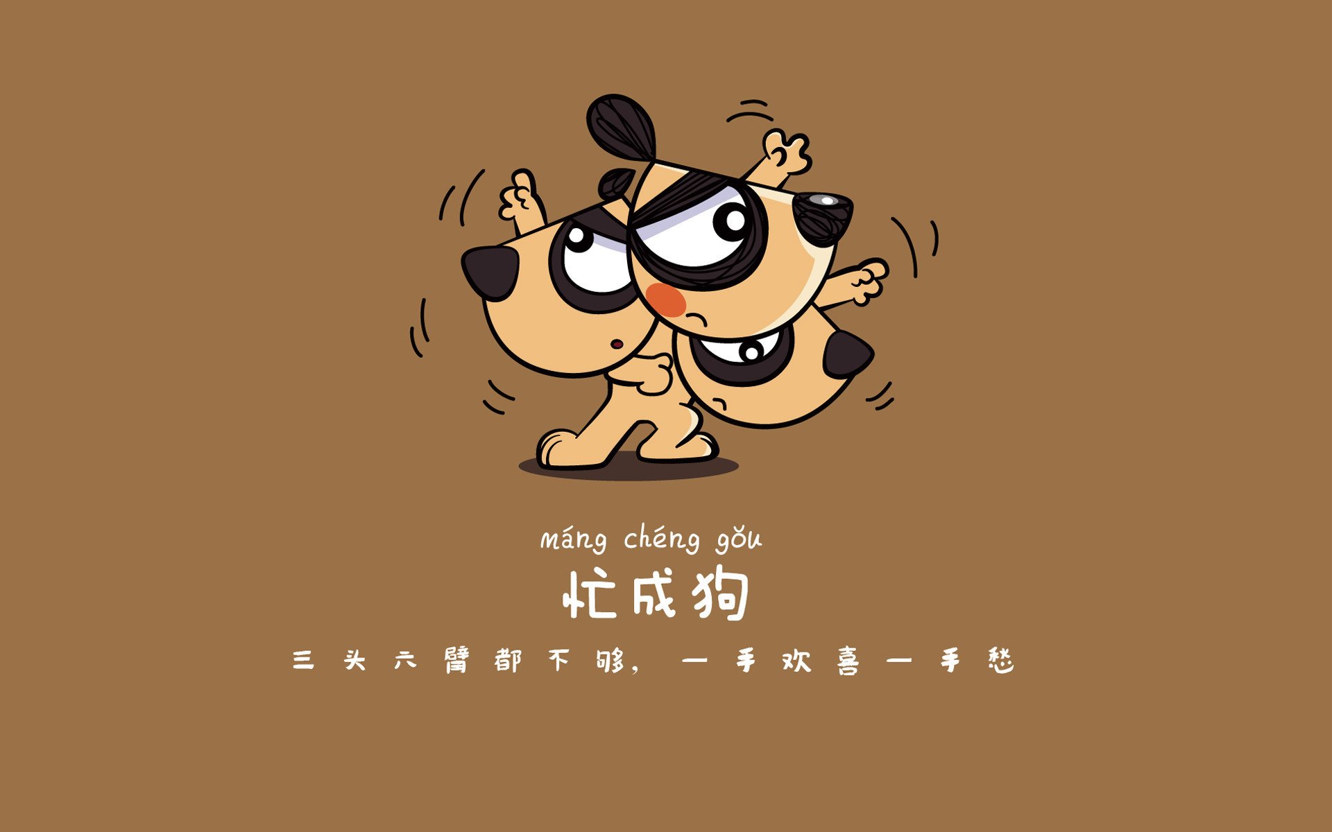 开云网页版登录入口-球迷故事：他们的支持让球队更有力量，球迷们正在为队员们加油鼓劲