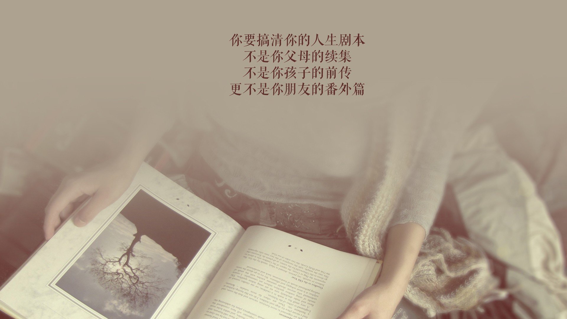 青岛黄海中场被罚下场，影响球队比赛节奏，青岛黄海队主场在哪