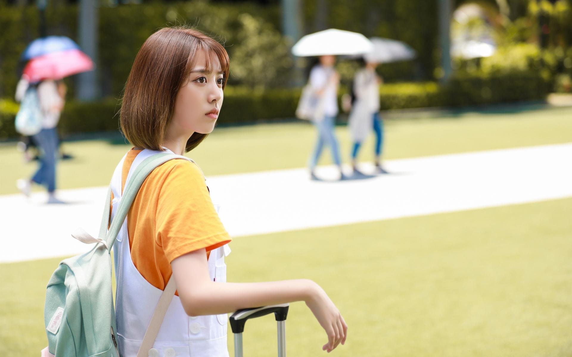 女足世界杯关注度激增，引发社会热议，女足世界杯扩军