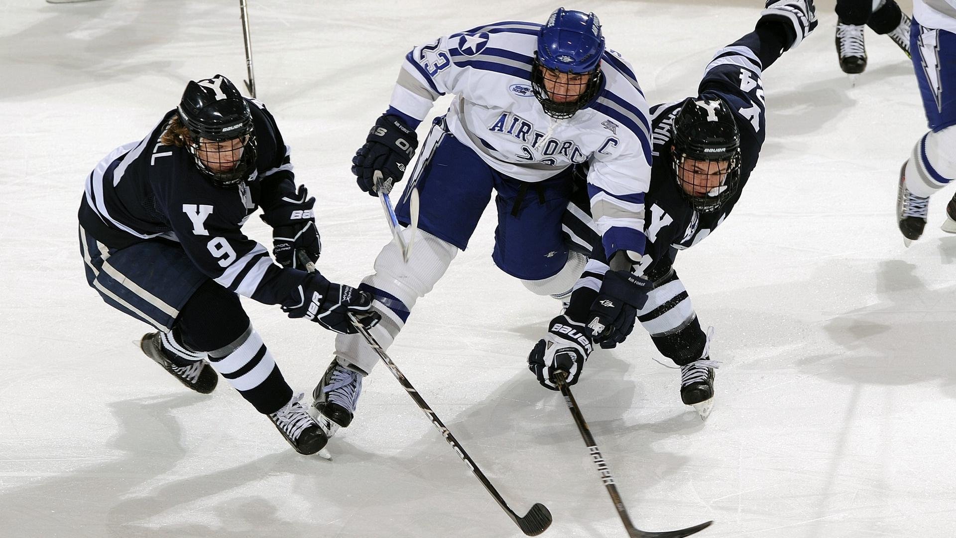数字化青训“云平台”在行业中逐步普及，推动行业升级，青年云数字经济产业园